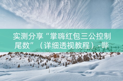 实测分享“掌嗨红包三公控制尾数”（详细透视教程）-哔哩哔哩