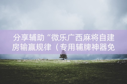 分享辅助“微乐广西麻将自建房输赢规律（专用辅牌神器免安装）