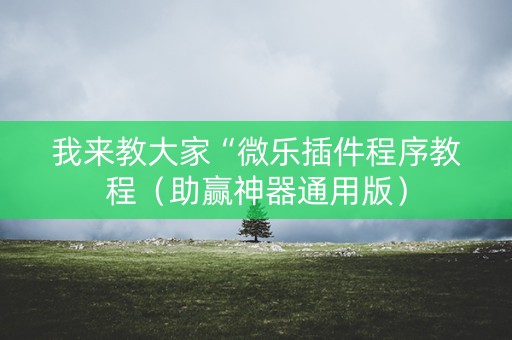 我来教大家“微乐插件程序教程（助赢神器通用版）