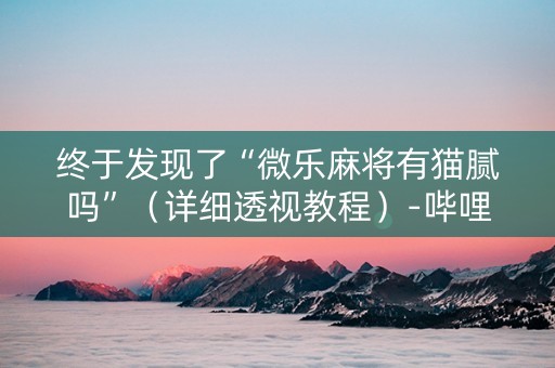 终于发现了“微乐麻将有猫腻吗”（详细透视教程）-哔哩哔哩