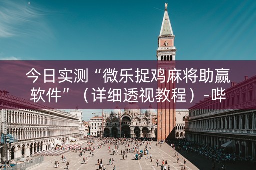 今日实测“微乐捉鸡麻将助赢软件”（详细透视教程）-哔哩哔哩