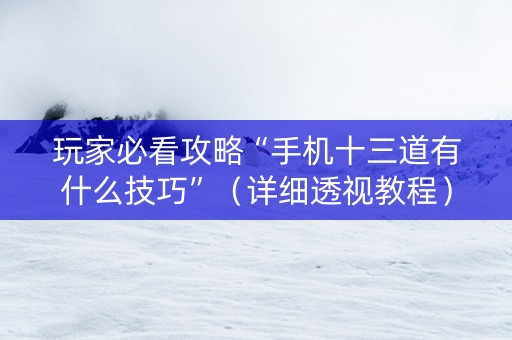 玩家必看攻略“手机十三道有什么技巧”（详细透视教程）-哔哩哔哩