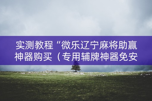 实测教程“微乐辽宁麻将助赢神器购买（专用辅牌神器免安装）