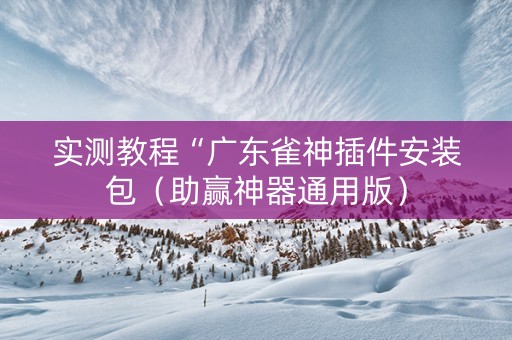 实测教程“广东雀神插件安装包（助赢神器通用版）