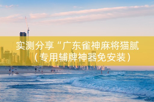 实测分享“广东雀神麻将猫腻（专用辅牌神器免安装）