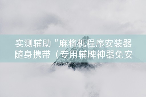 实测辅助“麻将机程序安装器随身携带（专用辅牌神器免安装）