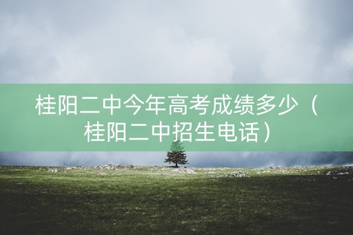 桂阳二中今年高考成绩多少（桂阳二中招生电话）