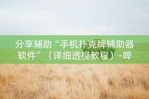 分享辅助“手机扑克牌辅助器软件”（详细透视教程）-哔哩哔哩
