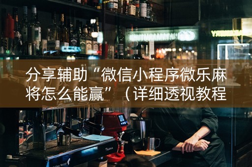 分享辅助“微信小程序微乐麻将怎么能赢”（详细透视教程）-哔哩哔哩