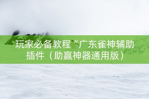 玩家必备教程“广东雀神辅助插件（助赢神器通用版）