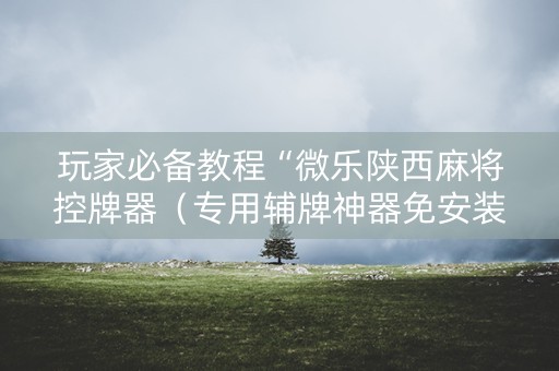 玩家必备教程“微乐陕西麻将控牌器（专用辅牌神器免安装）
