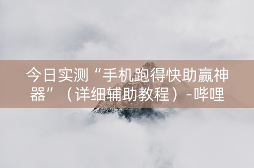 今日实测“手机跑得快助赢神器”（详细辅助教程）-哔哩哔哩