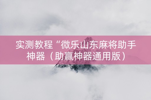 实测教程“微乐山东麻将助手神器（助赢神器通用版）