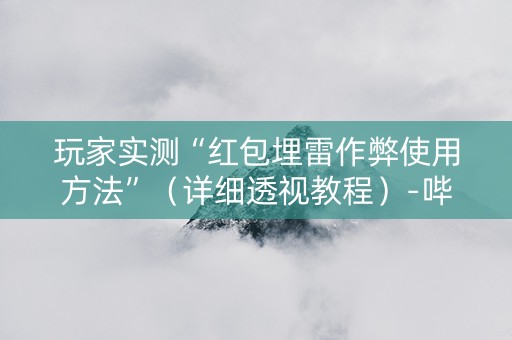 玩家实测“红包埋雷作弊使用方法”（详细透视教程）-哔哩哔哩