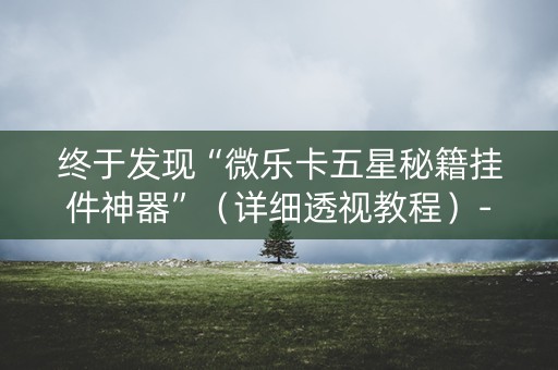 终于发现“微乐卡五星秘籍挂件神器”（详细透视教程）-哔哩哔哩