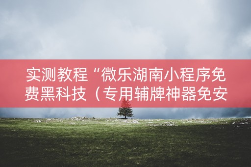实测教程“微乐湖南小程序免费黑科技（专用辅牌神器免安装）