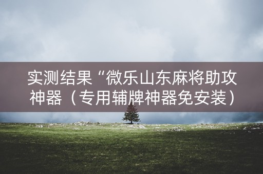 实测结果“微乐山东麻将助攻神器（专用辅牌神器免安装）