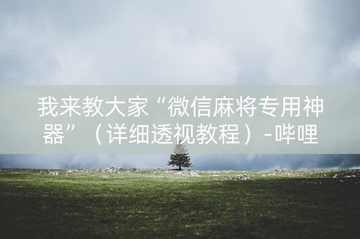 我来教大家“微信麻将专用神器”（详细透视教程）-哔哩哔哩