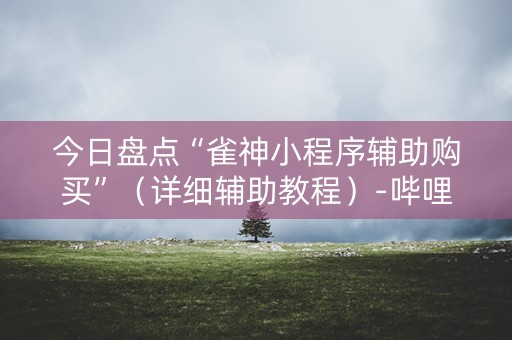 今日盘点“雀神小程序辅助购买”（详细辅助教程）-哔哩哔哩