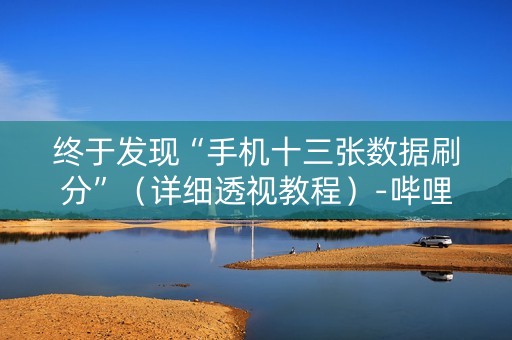 终于发现“手机十三张数据刷分”（详细透视教程）-哔哩哔哩