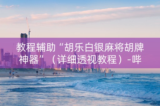 教程辅助“胡乐白银麻将胡牌神器”（详细透视教程）-哔哩哔哩