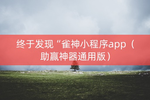 终于发现“雀神小程序app（助赢神器通用版）
