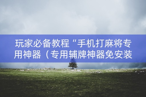 玩家必备教程“手机打麻将专用神器（专用辅牌神器免安装）