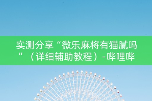 实测分享“微乐麻将有猫腻吗”（详细辅助教程）-哔哩哔哩