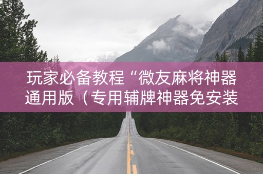 玩家必备教程“微友麻将神器通用版（专用辅牌神器免安装）