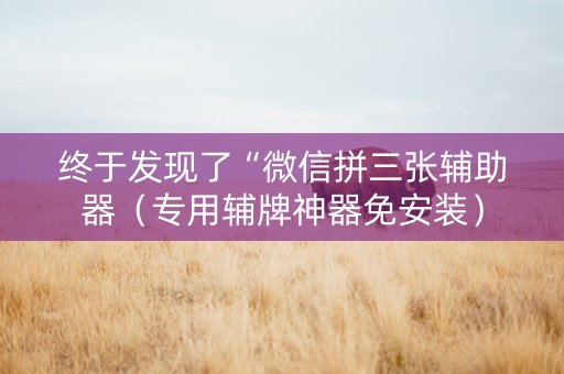 终于发现了“微信拼三张辅助器（专用辅牌神器免安装）