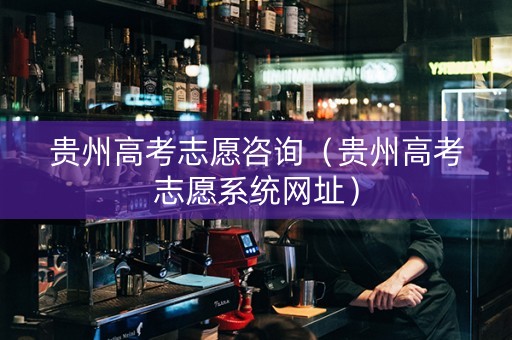 贵州高考志愿咨询（贵州高考志愿系统网址）
