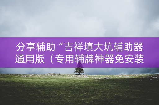 分享辅助“吉祥填大坑辅助器通用版（专用辅牌神器免安装）