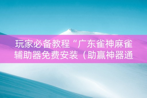 玩家必备教程“广东雀神麻雀辅助器免费安装（助赢神器通用版）