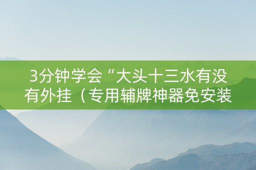 3分钟学会“大头十三水有没有外挂（专用辅牌神器免安装）