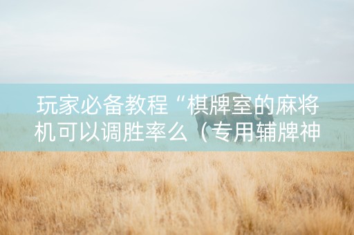 玩家必备教程“棋牌室的麻将机可以调胜率么（专用辅牌神器免安装）