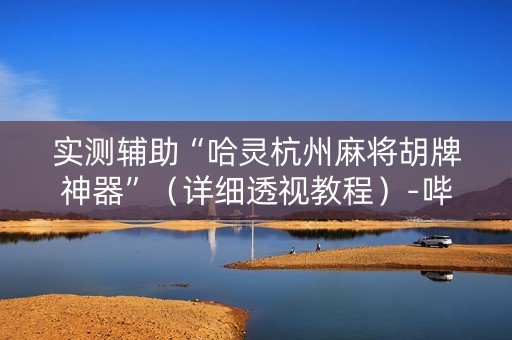 实测辅助“哈灵杭州麻将胡牌神器”（详细透视教程）-哔哩哔哩
