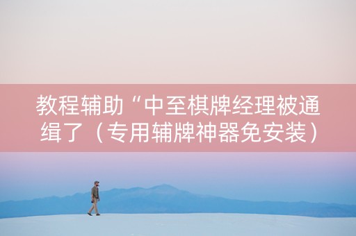 教程辅助“中至棋牌经理被通缉了（专用辅牌神器免安装）