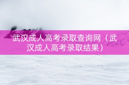 武汉成人高考录取查询网（武汉成人高考录取结果）