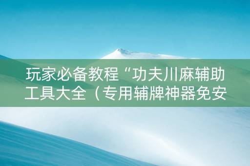 玩家必备教程“功夫川麻辅助工具大全（专用辅牌神器免安装）