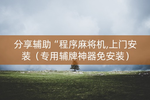 分享辅助“程序麻将机,上门安装（专用辅牌神器免安装）