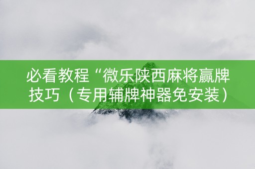 必看教程“微乐陕西麻将赢牌技巧（专用辅牌神器免安装）