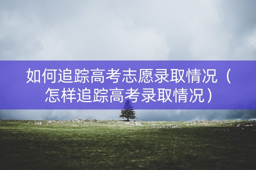 如何追踪高考志愿录取情况（怎样追踪高考录取情况）