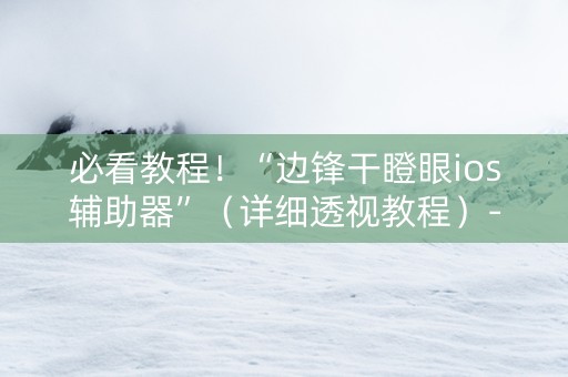 必看教程！“边锋干瞪眼ios辅助器”（详细透视教程）-哔哩哔哩