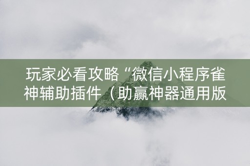 玩家必看攻略“微信小程序雀神辅助插件（助赢神器通用版）