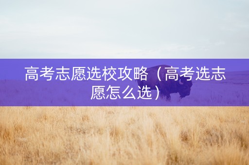 高考志愿选校攻略（高考选志愿怎么选）