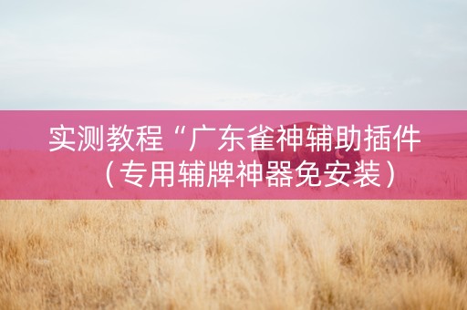 实测教程“广东雀神辅助插件（专用辅牌神器免安装）