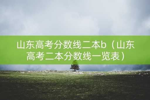 山东高考分数线二本b（山东高考二本分数线一览表）