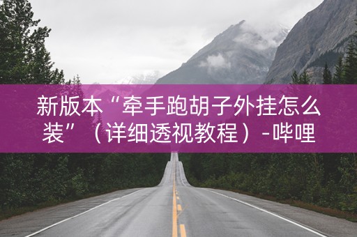 新版本“牵手跑胡子外挂怎么装”（详细透视教程）-哔哩哔哩