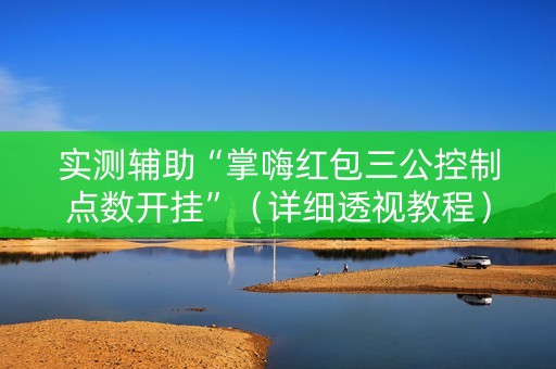 实测辅助“掌嗨红包三公控制点数开挂”（详细透视教程）-哔哩哔哩