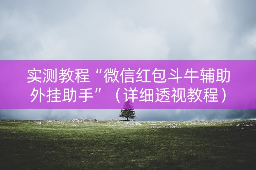 实测教程“微信红包斗牛辅助外挂助手”（详细透视教程）-哔哩哔哩